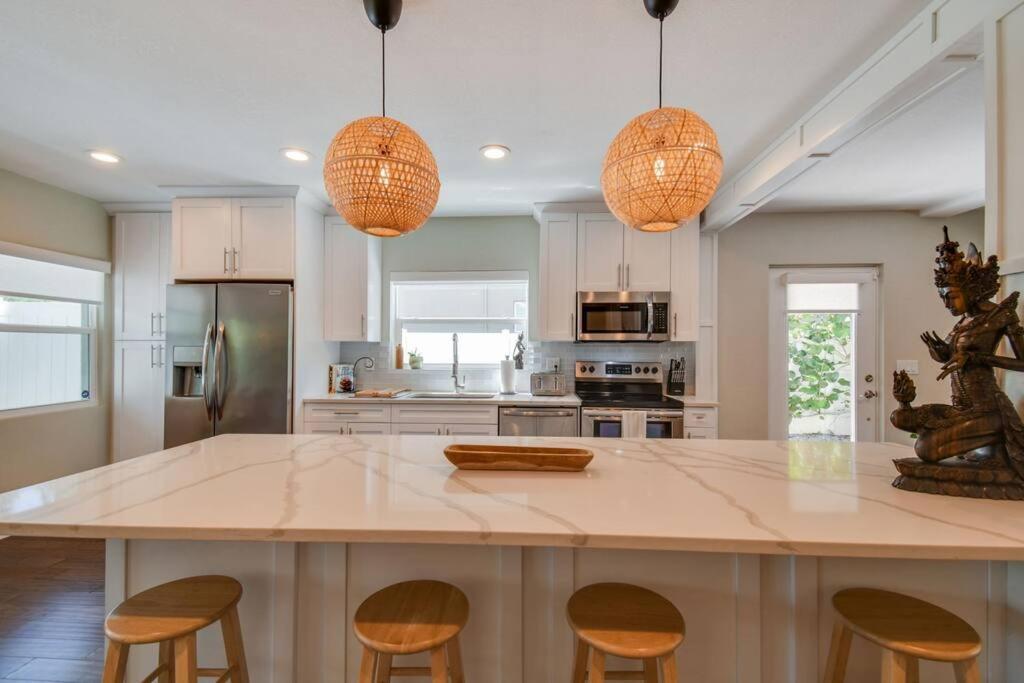Luxury Home In The Heart Of South Tampa & Pool! Dış mekan fotoğraf